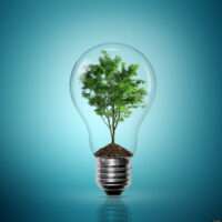 Gestion electricte