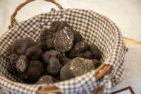Panier de Truffes du Périgord